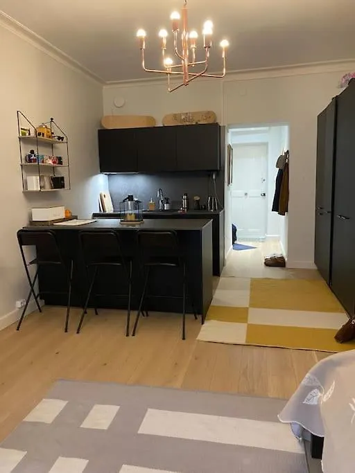 Cozy Studio In Ullanlinna With Central Location Helsinki Appartement